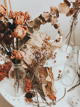  Dried Flowers for Fall