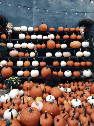  Halloween Pumpkin Carving Ideas